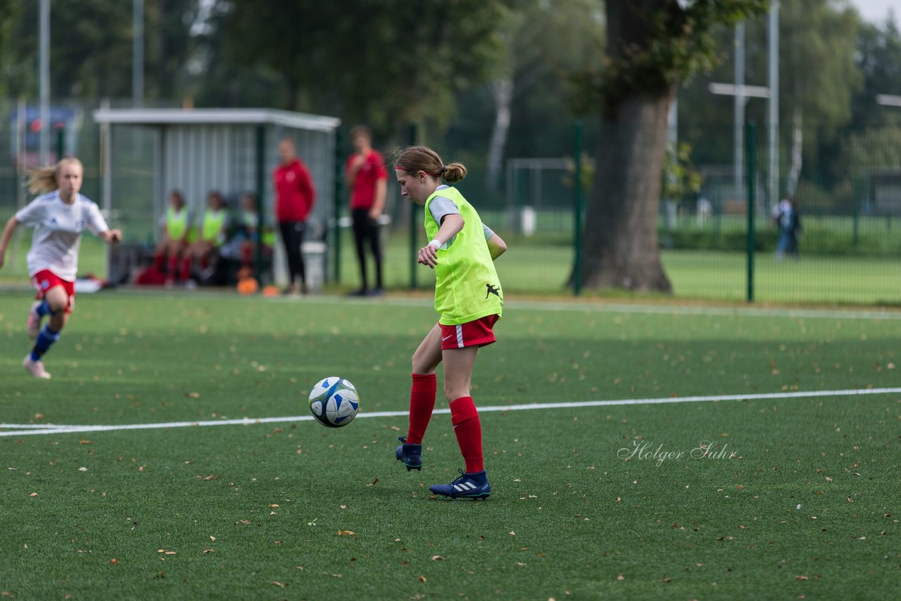 Bild 208 - C-Juniorinnen HSV - Walddoerfer : Ergebnis: 9:1